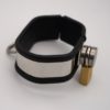 Bild einer 6eckigen Manschette mit Abus-Schloss und D-Ring